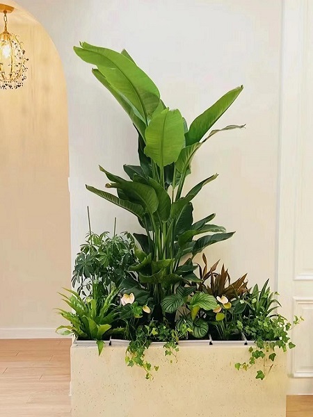 花箱组合1