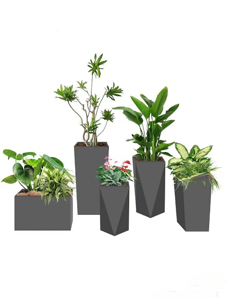 花箱组合3
