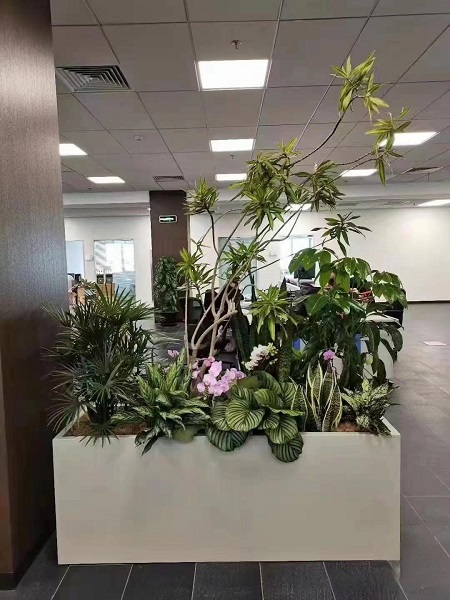 花卉组合9