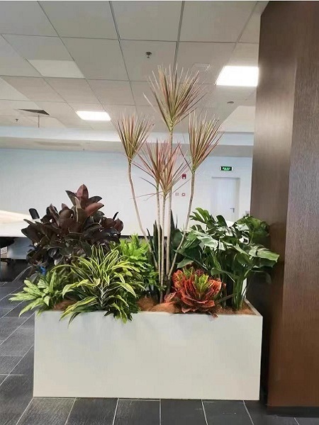 花卉组合10