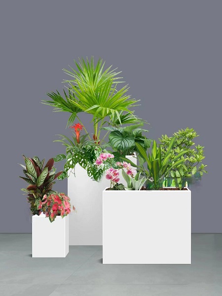 花卉组合19