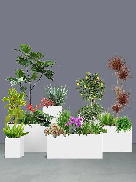 花卉组合20