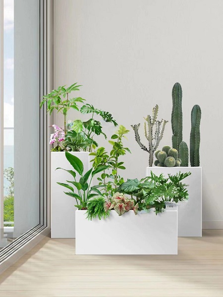 花卉组合21