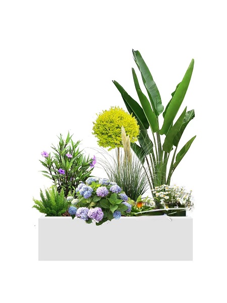 花箱组合24