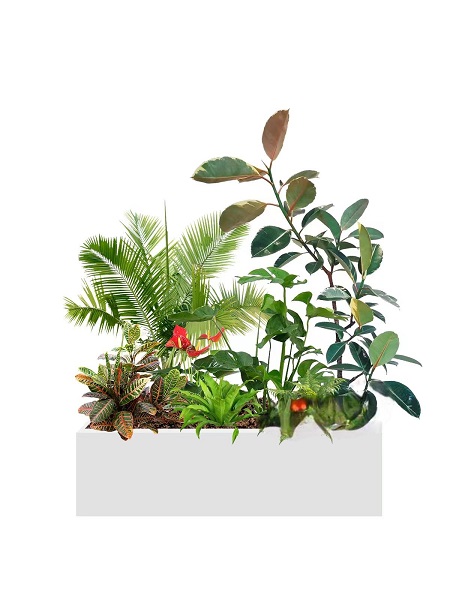 花箱组合25