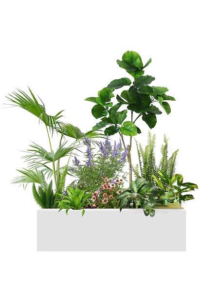花箱组合26