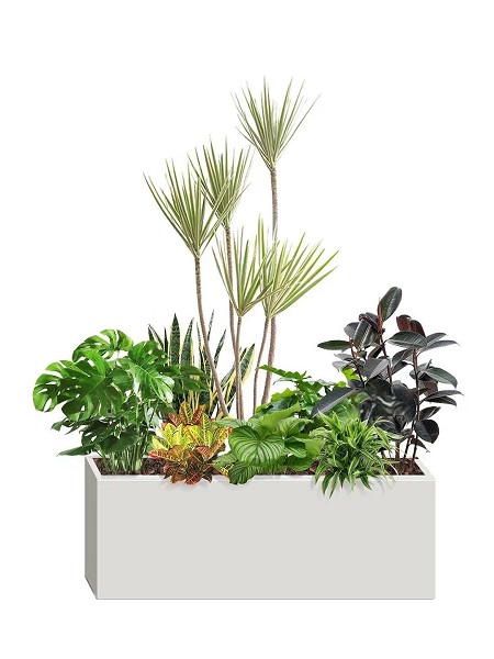 花箱组合27