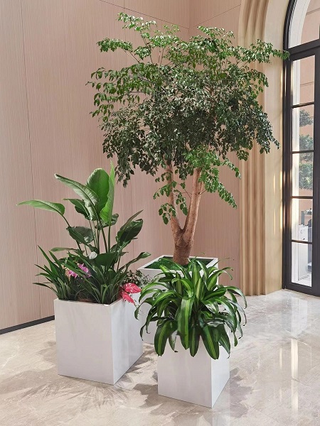 盆花组合小品1