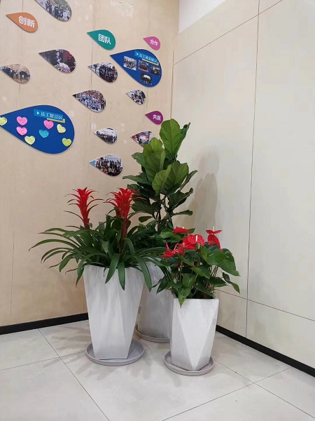 盆花组合小品2