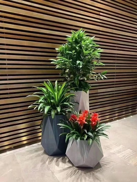 盆花组合小品4