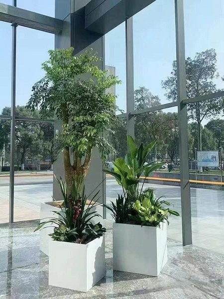 盆花组合小品5