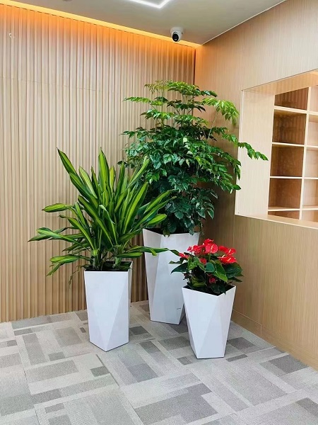盆花组合小品9